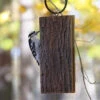 Suet Sandwich Bird Feeder