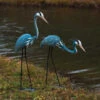 Steel Heron Pair Garden Sculptures