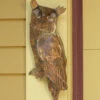 Flamed Owl Wall Decor