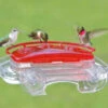 Jewel Box Window Hummingbird Feeder