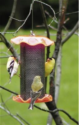 Forever Thistle Feeder-1 Qt 2 Forever Thistle Feeder-1 Qt - Image 2