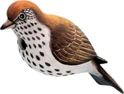 Hermit Thrush Wooden Birdhouse