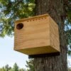 Barn Owl House- Assembled Or Kit