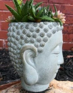 Buddha Head Planter -Bird Haven Outlet Store Buddha Head Planter side view