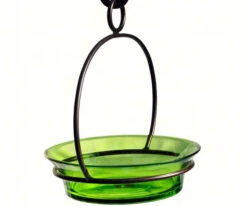 Glass Globe Dish Feeder/Mini-Bath- Red Or Lime 7 Glass Globe Dish Feeder/Mini-Bath- Red Or Lime -Bird Haven Outlet Store COURM33720001