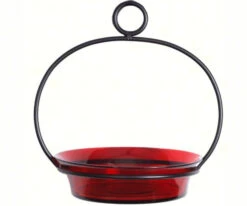 Glass Globe Dish Feeder/Mini-Bath- Red Or Lime 6 Glass Globe Dish Feeder/Mini-Bath- Red Or Lime -Bird Haven Outlet Store COURM33720006