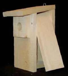 Eastern Bluebird Bird House Kit