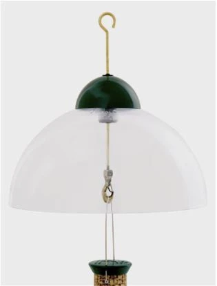 Droll Yankees Squirrel Guard Dome 1 Droll Yankees Squirrel Guard Dome