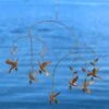 Flamed Hummingbird Mobile