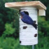Gilbertson Nest Box - NABS Approved