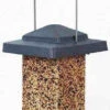 Vista Squirrel Proof Bird Feeder