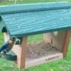 Hanging Bluebird Feeder