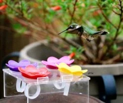 Hummer Ring Kit -Bird Haven Outlet Store Hummer Ring Training Stand 0558d8e9 635f 4722 a384 e492227bd702