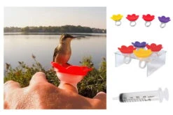 Hummer Ring Kit -Bird Haven Outlet Store Hummer Ring kit