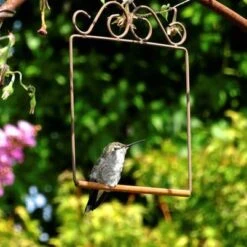 Pop's Hummingbird Swing
