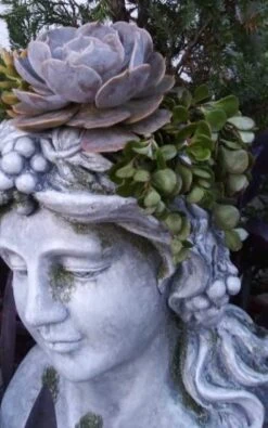 Large Lady Head Planter -Bird Haven Outlet Store Lady Head Planter Side 2 Detail