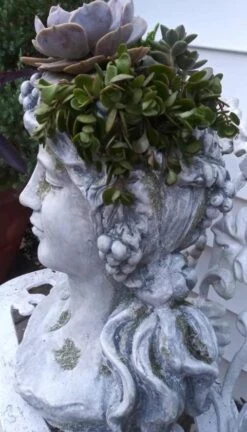 Large Lady Head Planter -Bird Haven Outlet Store Lady Head Planter Side Detail