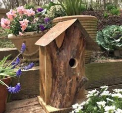 Rustic Log Front Birdhouses- 2 Sizes -Bird Haven Outlet Store Log Front Birdhouse 3
