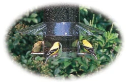 Weather Guard For Classic Bird Feeders