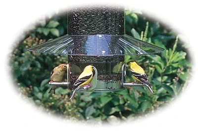 Weather Guard For Classic Bird Feeders 1 Weather Guard For Classic Bird Feeders