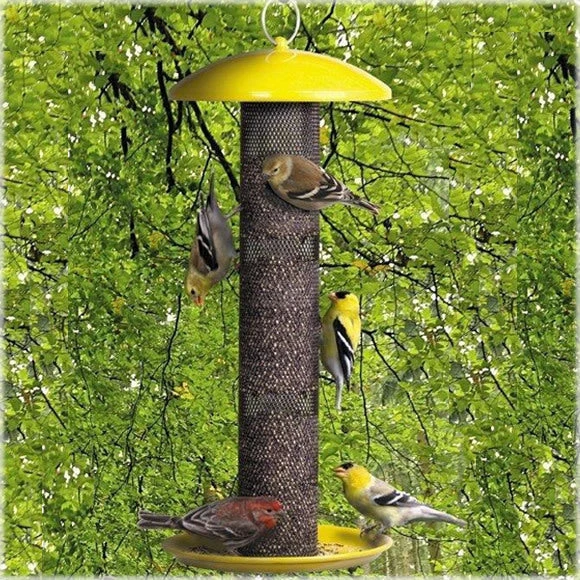 Yellow Finch Feeder By No-No 1 Yellow Finch Feeder By No-No