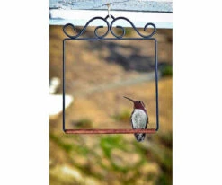 Pop's Hummingbird Swing -Bird Haven Outlet Store POPSWINGBL