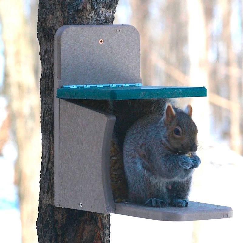 Recycled Munch Box Squirrel Feeder 1 Recycled Munch Box Squirrel Feeder