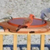 Cedar Heated Deck Mount Bird Bath