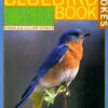 Complete Guide To Attracting Bluebirds
