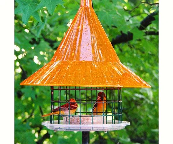 Sky Cafe Oriole Feeder 1 Sky Cafe Oriole Feeder