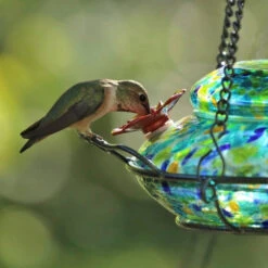 Solar Glass Hummingbird Feeder With Perch -Bird Haven Outlet Store Solar Hummingbird Feeder Detail