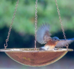 Solid Copper Hanging Bird Bath, 2 Sizes