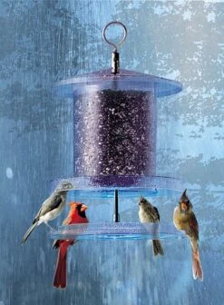 Songbird All-Weather Feeder 4 Or 6 Qt. -Bird Haven Outlet Store Songbird All Weather Bird Feeder