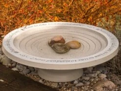 Large Step-In Bird Bath -Bird Haven Outlet Store Stone Birdbath with Steps