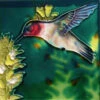 Ceramic Art Tile-Hummingbird 4x4