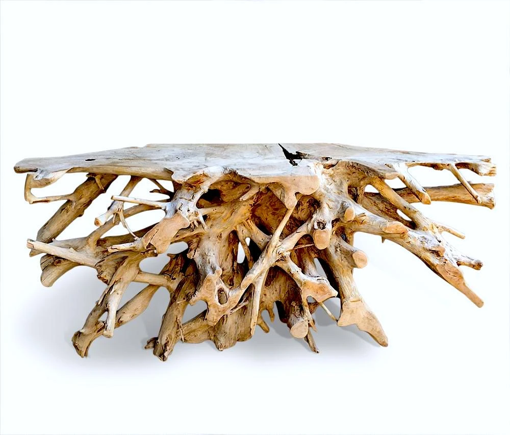 Teak Root Console Table 3 Teak Root Console Table - Image 3