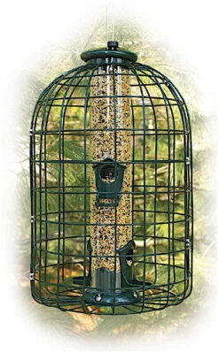 Caged Squirrel Proof Bird Feeder- 2 Lb.