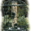 Caged Squirrel Proof Bird Feeder W/ Tray