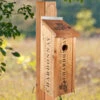 Wine Crate Birdhouse