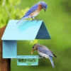 Fence-Post Bluebird Feeder- Blue Or Orange
