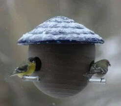 Gourd Bird Feeder -Bird Haven Outlet Store gourd feeder detail