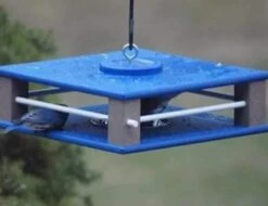 Gilbertson Hanging Bluebird Feeder 7 Gilbertson Hanging Bluebird Feeder -Bird Haven Outlet Store hanging bluebird feeder