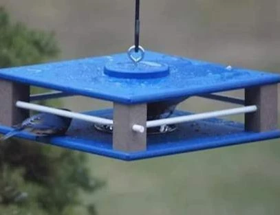 Gilbertson Hanging Bluebird Feeder 4 Gilbertson Hanging Bluebird Feeder - Image 4