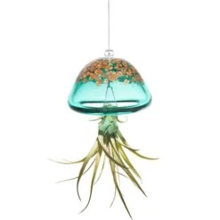 Jellyfish Air Plant Hangers Set/3 -Bird Haven Outlet Store jellyfish air plant hanger green
