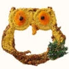 Big Owl Bird Seed Treat-Grapevine Form