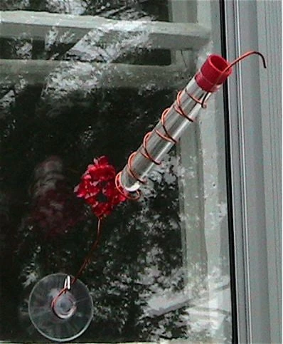 Charmer Hand-Held Hummingbird Feeder Set 4 Charmer Hand-Held Hummingbird Feeder Set - Image 4