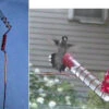Charmer Hand-Held Hummingbird Feeder Set