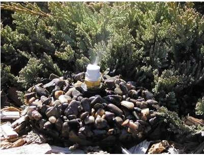 Leaf Mister On Base 4 Leaf Mister On Base - Image 4