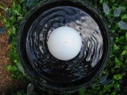 Water Wiggler For Birdbaths -Bird Haven Outlet Store new wiggler 3c3b55ad cedd 4ba3 9ddc a6b502d6c4c2