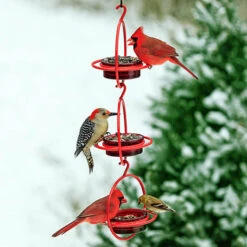 Orb Mealworm & Multi-Use Bird Feeder 5 Orb Mealworm & Multi-Use Bird Feeder -Bird Haven Outlet Store orb bird feeder 3 shown